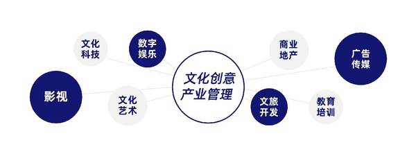 文化创意产业管理(CCM)课程学员行业分布 文化创意产业管理(CCM)课程学员行业分布