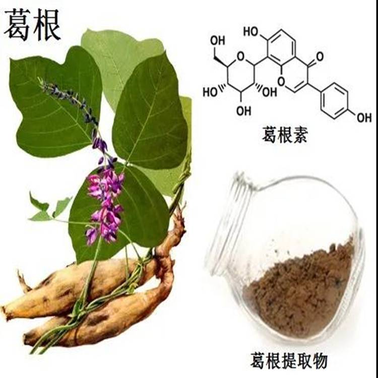 葛根提取物斯诺特生物水提浓缩工艺水溶葛麻藤粉