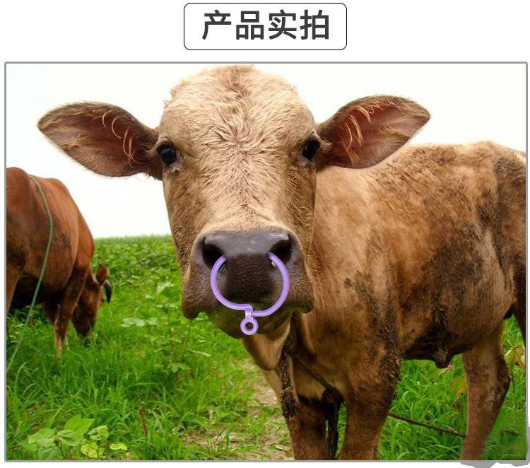 牛鼻环 牛鼻圈安装打孔钳 牛鼻环安装钳 牵牛用工具