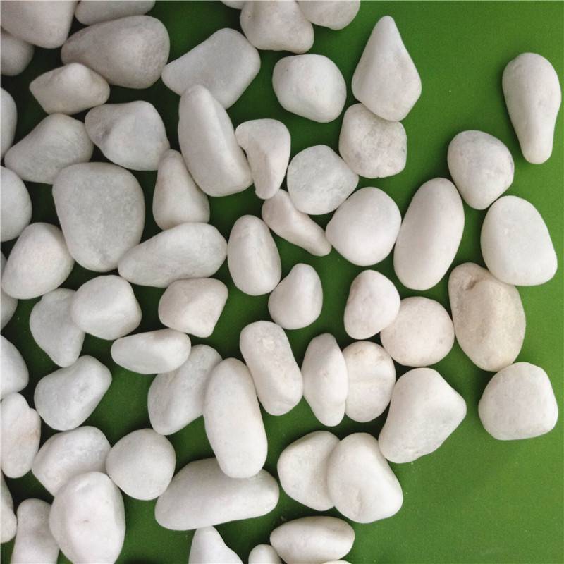 园艺多肉植物铺面白石子园林造景白色鹅卵石小白石子万竹矿业