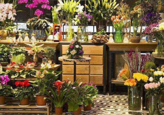 【云南鲜花店加盟-鲜花店加盟前景-流星