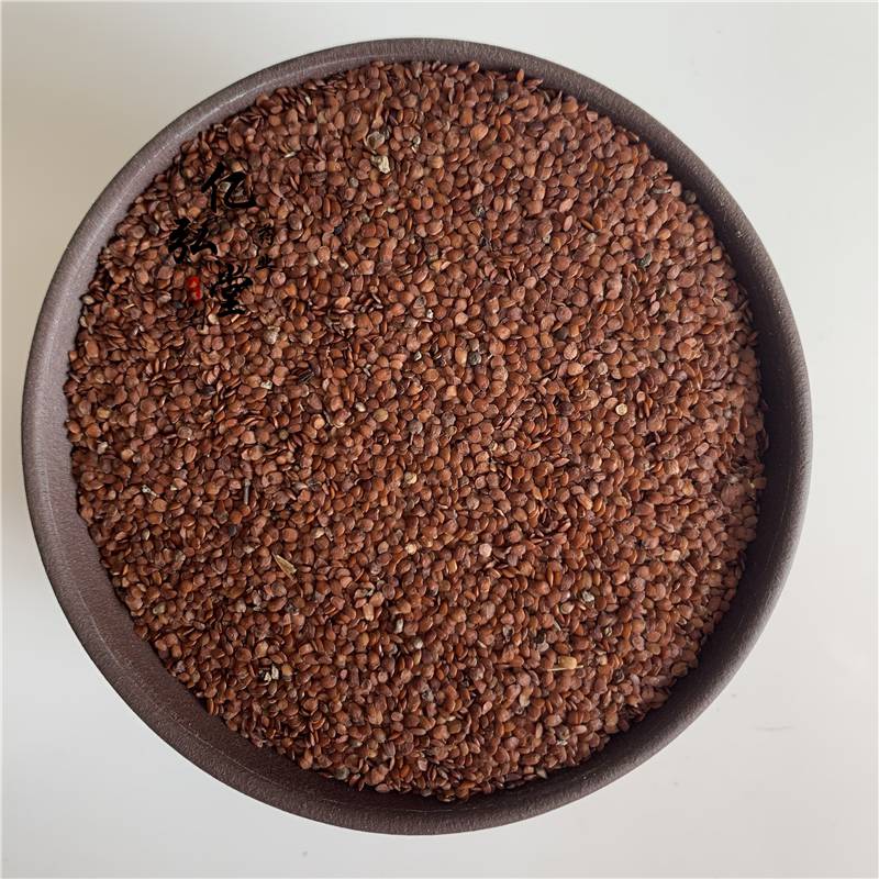 供应米罐子莨菪子莨菪实价格天仙子多少钱