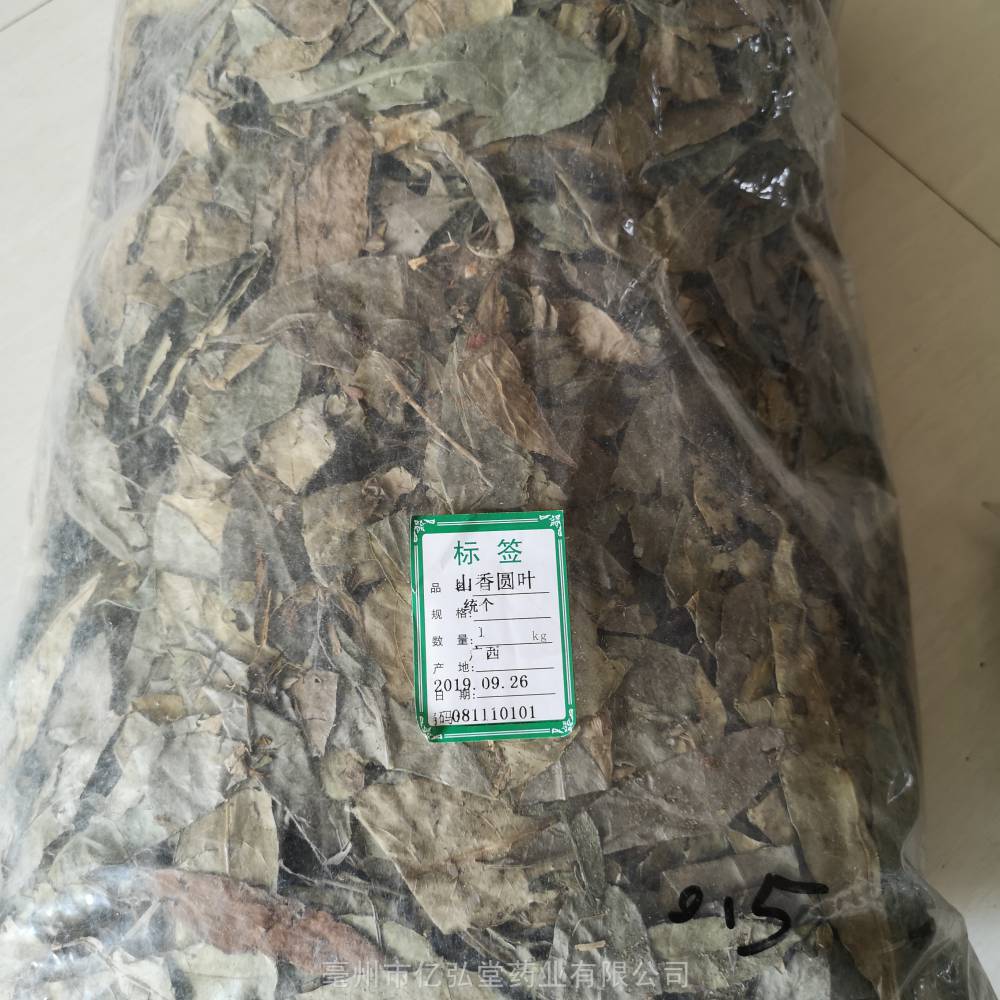 中藥材山香圓功效作用兩指劍千打錘七寸釘千錘打大駁骨葉山香圓葉