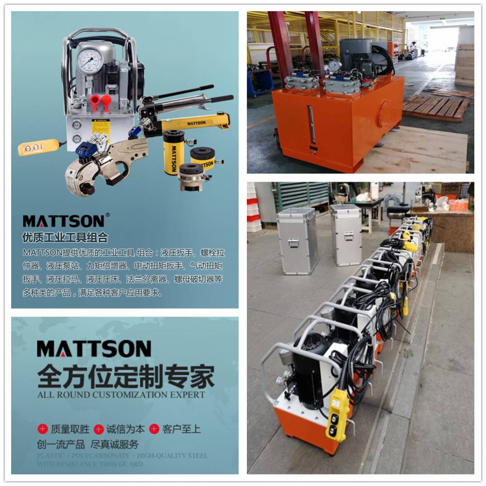进口超高压电动泵销量排行MATTSON麦特森