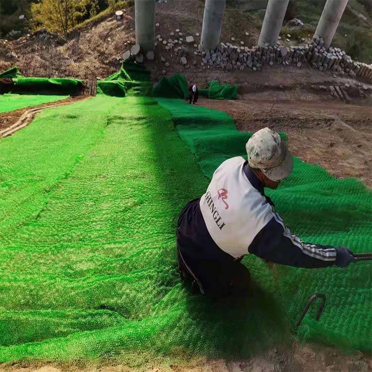 内蒙古包头市植草护坡用施工简单三维植被网