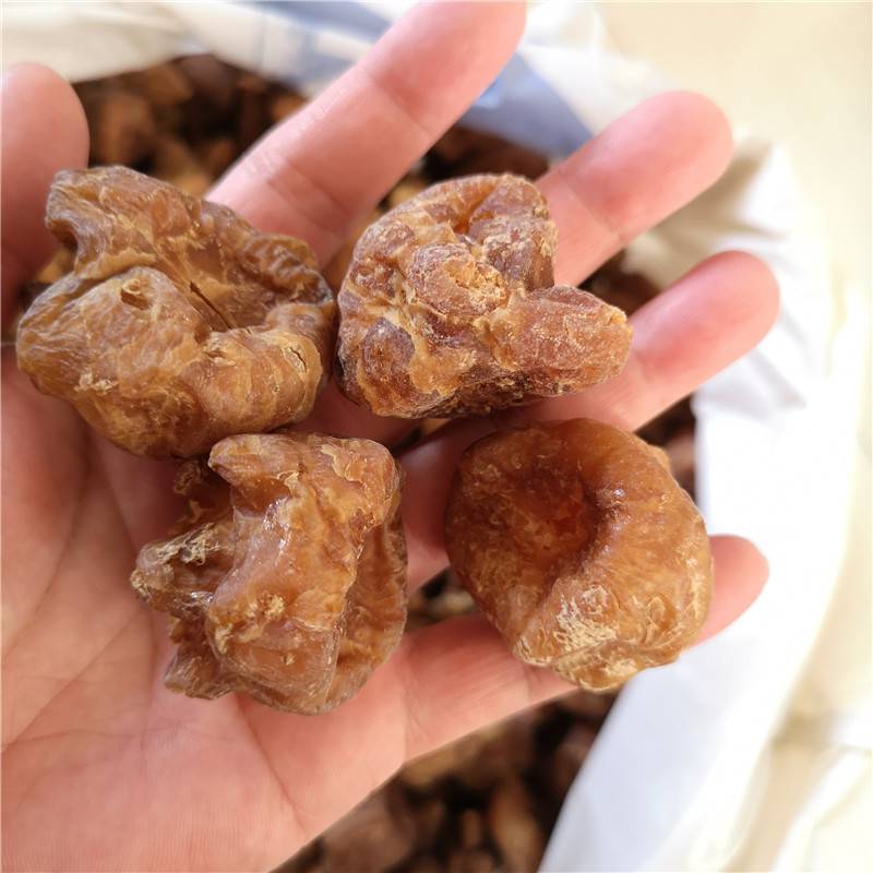 炮天雄用法用量炮天雄药理作用炮天雄药用效果