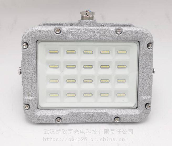 海洋王防爆投光灯BFC8128 5700K 150W AC36V150W防爆灯壁装