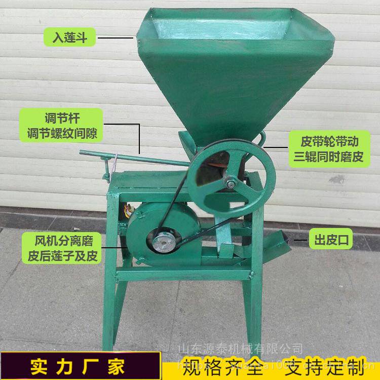 小核桃大市场 打好延链补链组合拳 促进产业提质增效