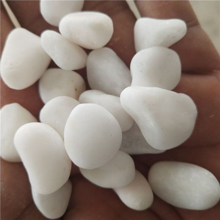 大量供应园艺白石子花盆用小白石头白色水磨石图片