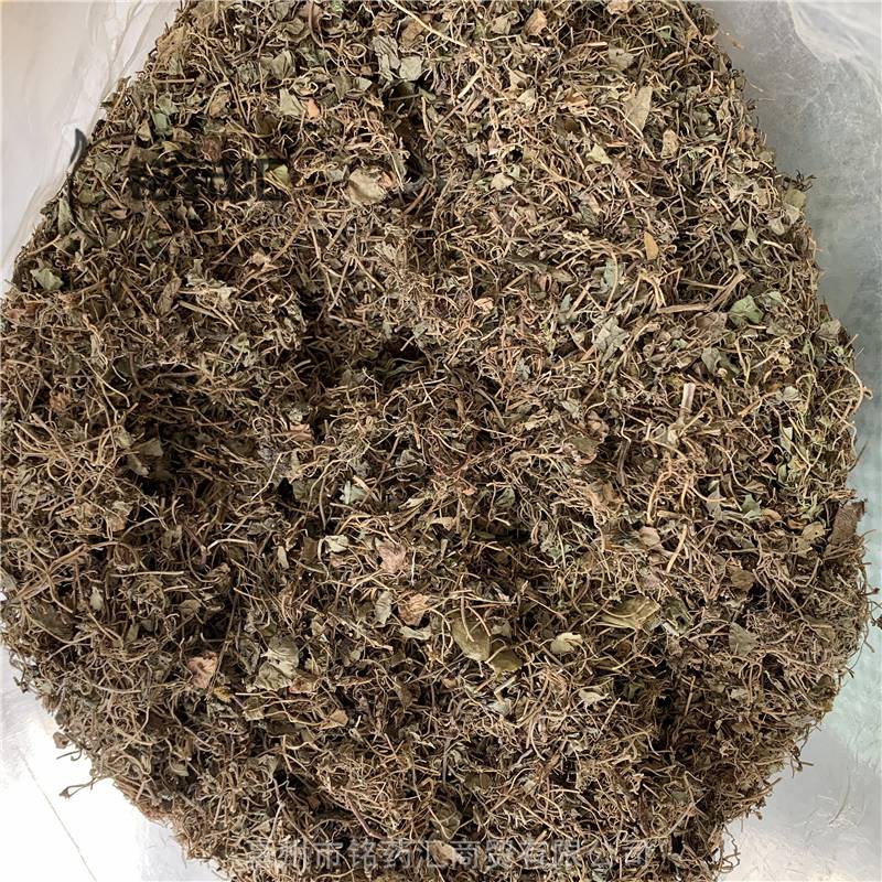 正宗天然黄胆草供应中药材荷包草产地批发无硫选货批发