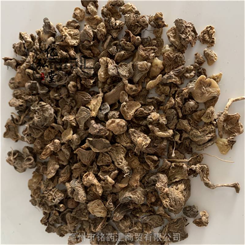 中药材野生山慈菇金灯花鹿蹄草毛慈姑泥冰子算盘七人头七