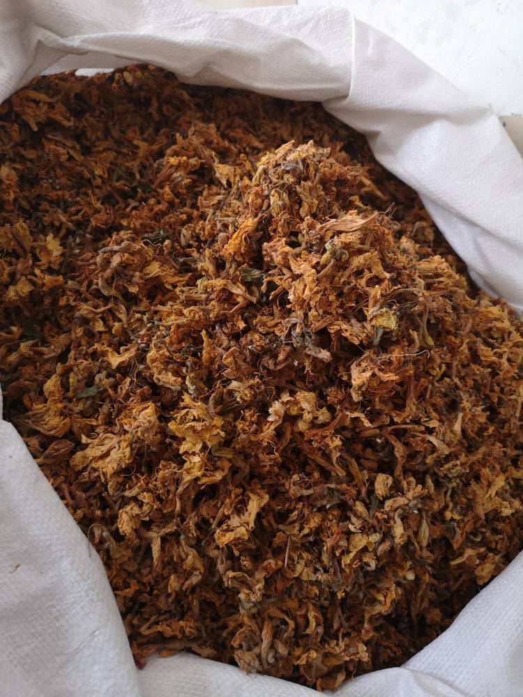 闷头花药用用法及用量黄牯牛花药用有什么药效