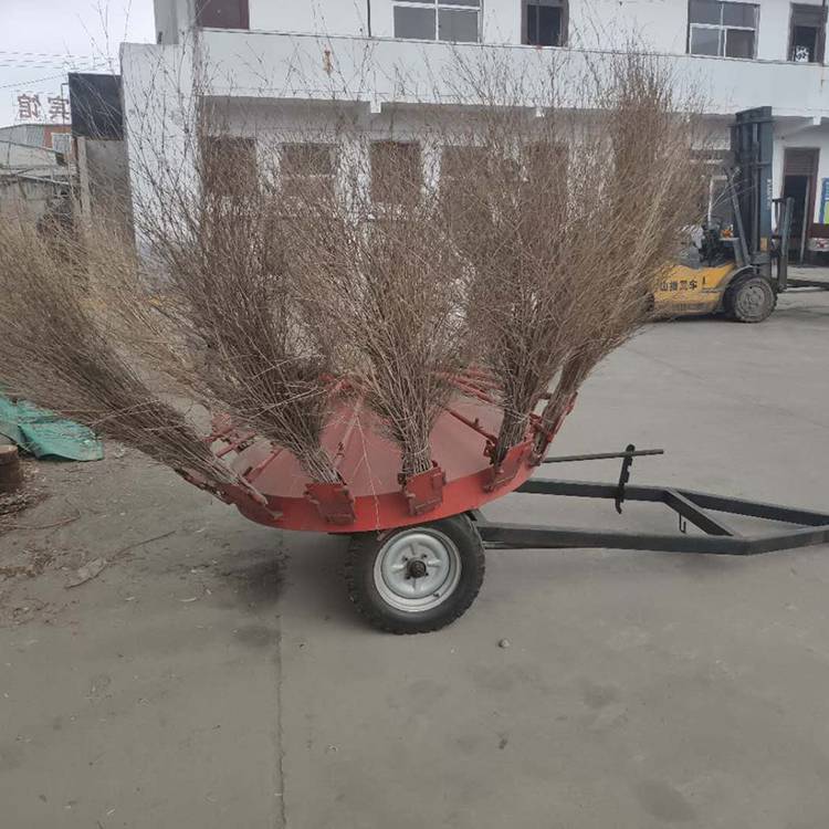 多功能扫地机 风火轮扫路机 扫帚扫地机