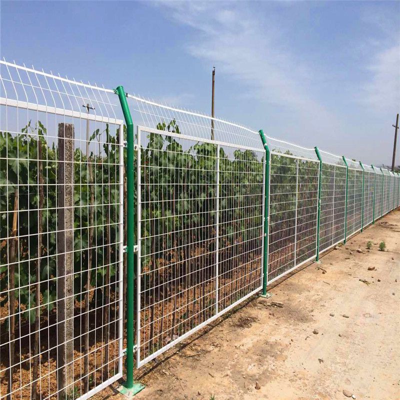 PVC浸塑护栏 养殖围栏网 铁路隔离栏