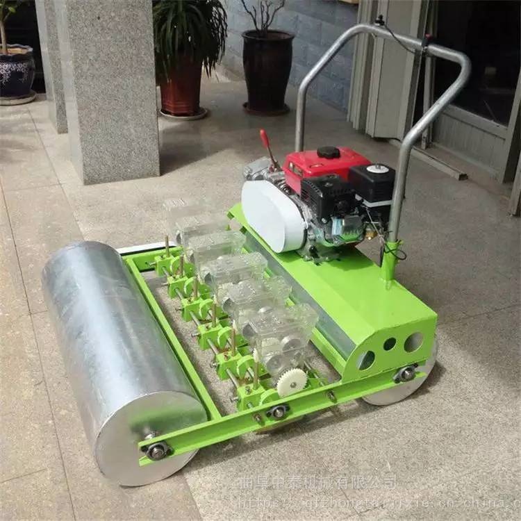 扎鲁特旗农业点播机 10行油菜播种机-机电之家网