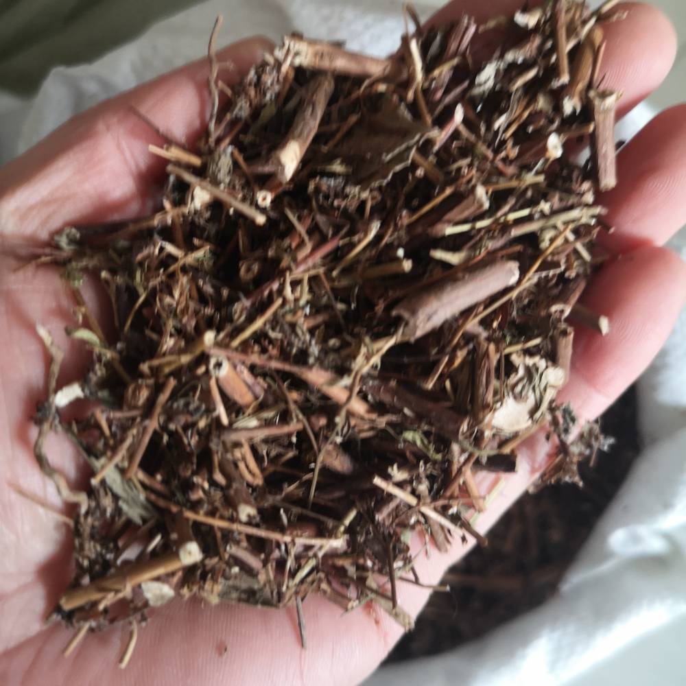 对月草对月草价格