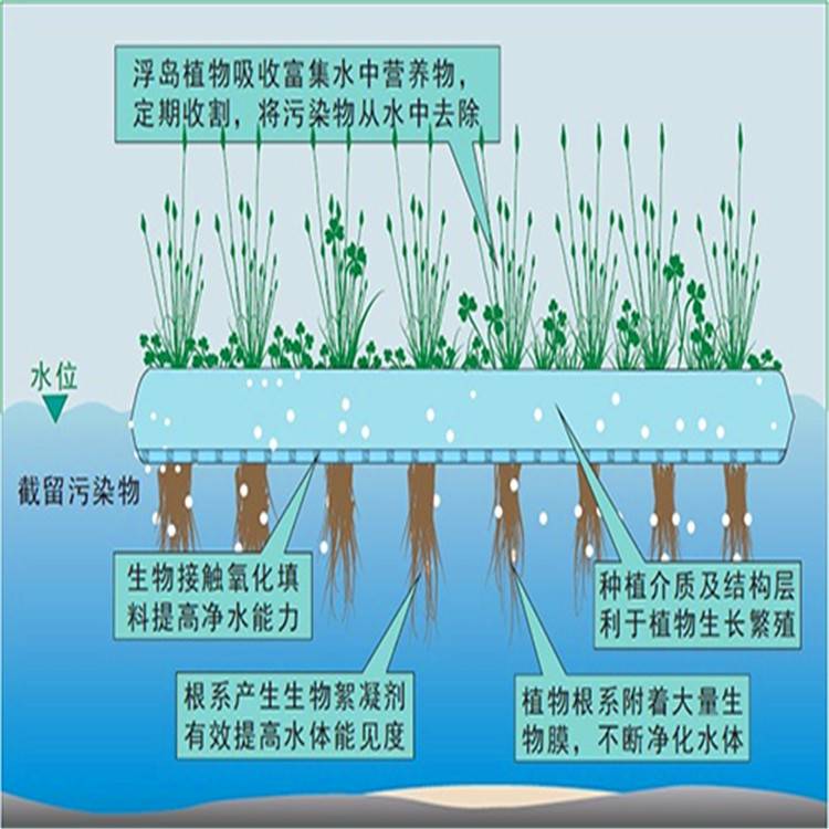 各种人工浮岛漂浮浮岛生态浮床河道绿化水生植物种植养护施工