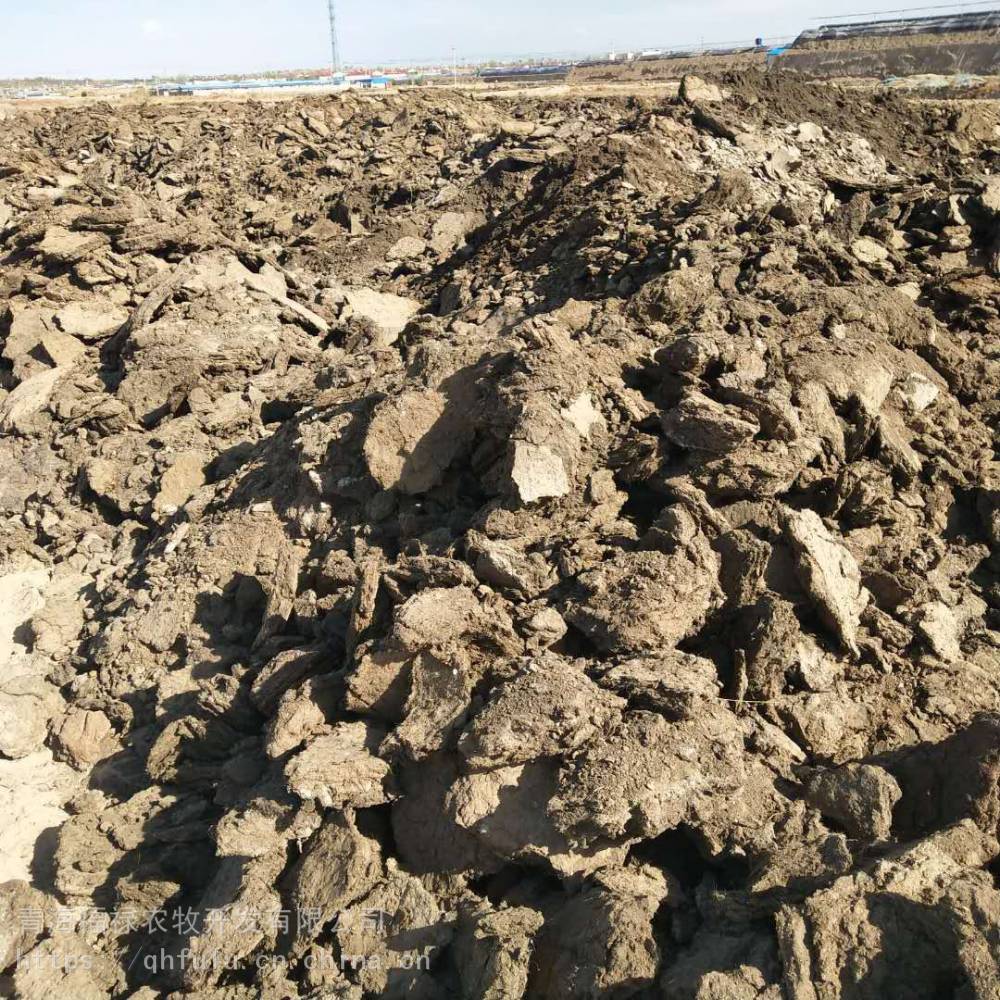 宁夏中卫羊粪沙土质硒砂瓜土壤对羊粪保水性很强羊粪可以缓解水土流失