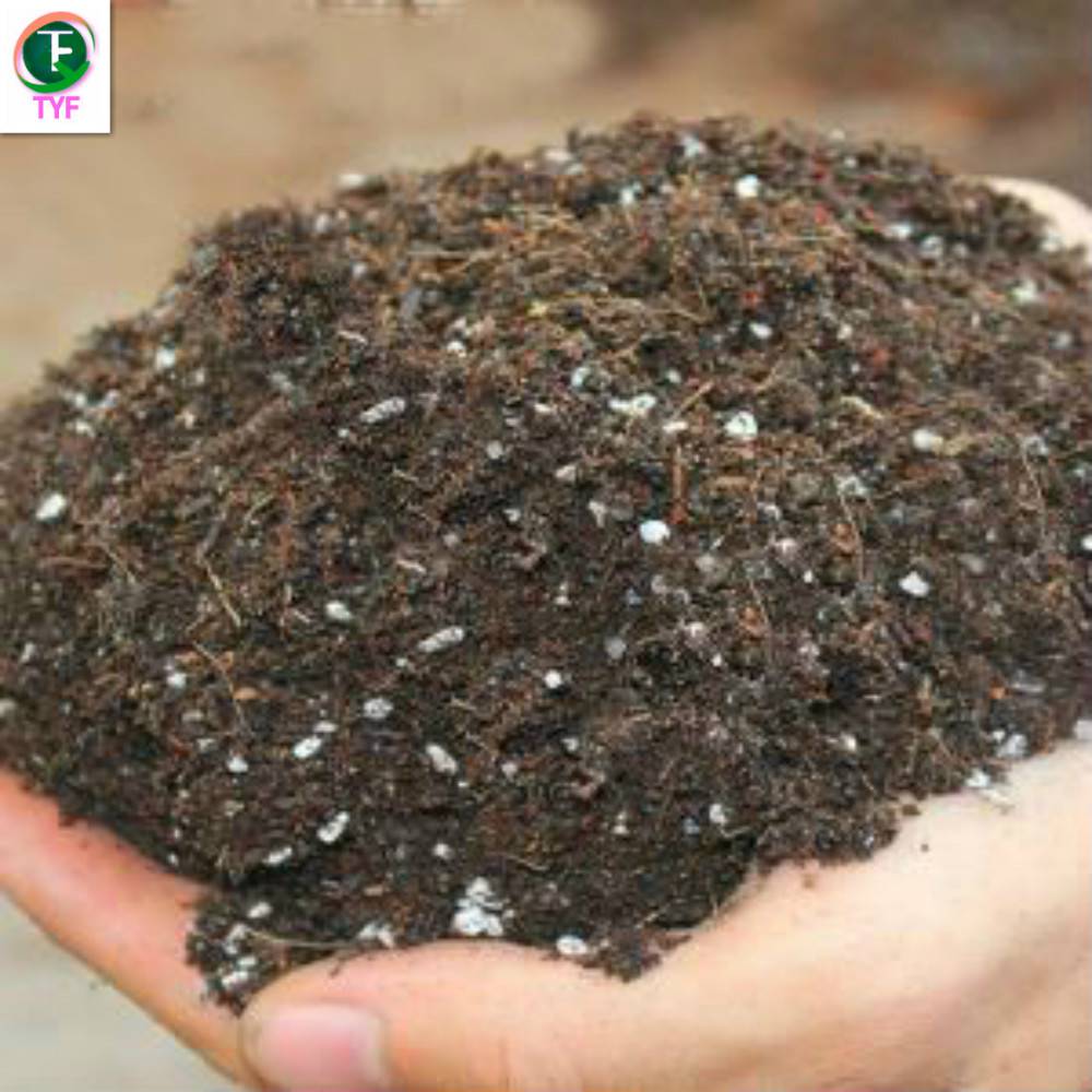 育苗草莓种植基质营养土图片查看详情