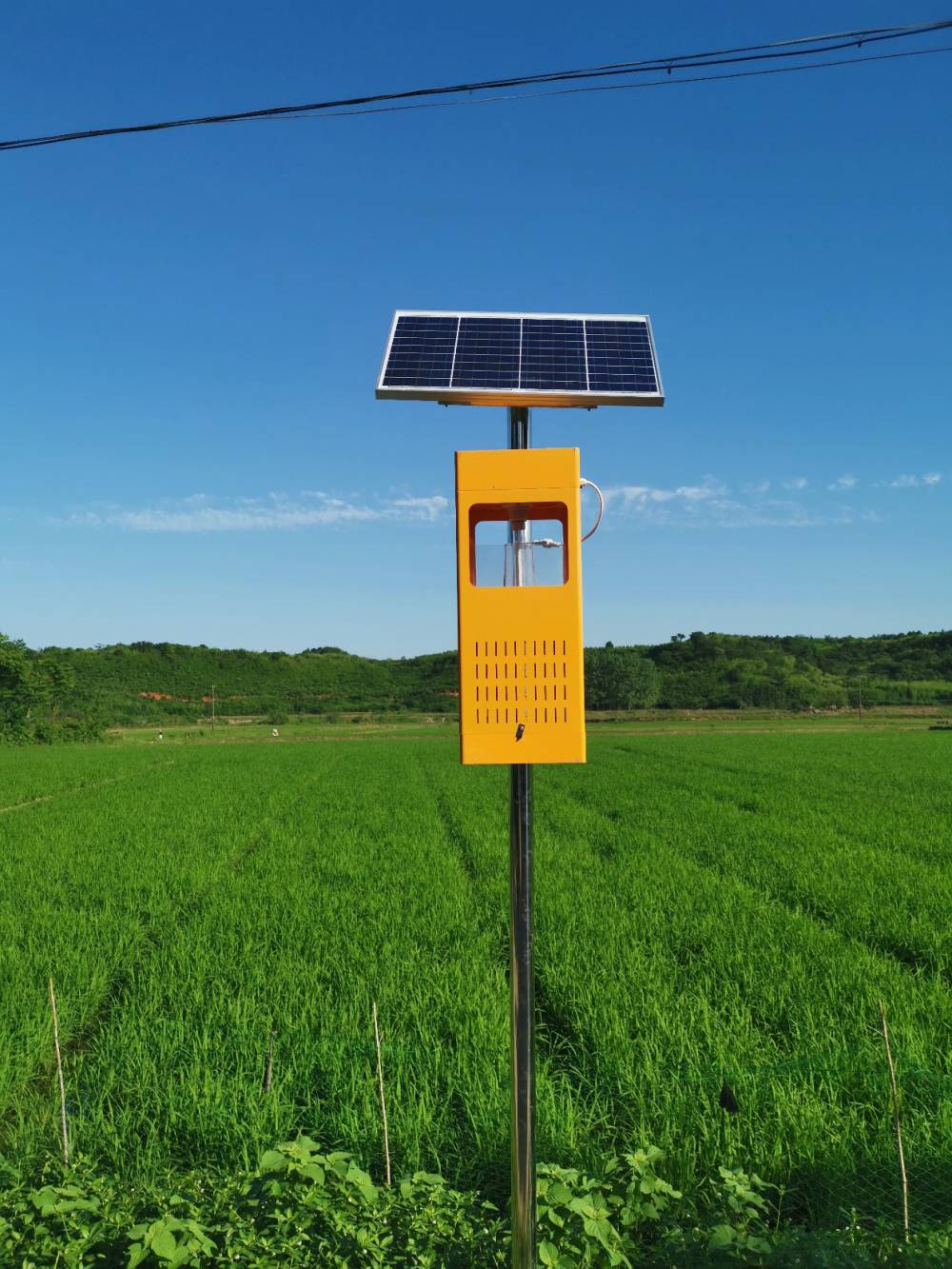 阿坝黑水太阳能灭蚊灯厂家-，农用/大棚/果园/茶园灭蚊灯