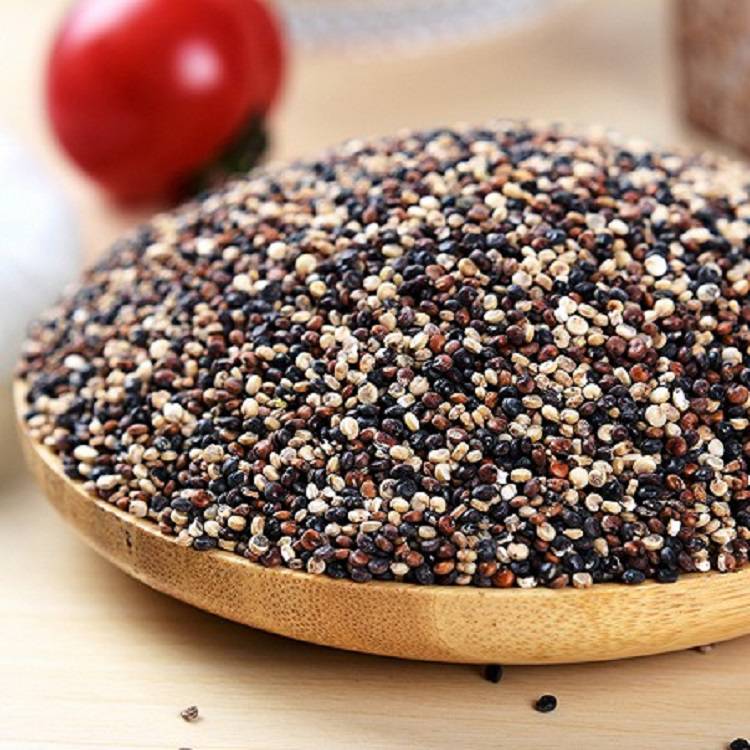 山西藜麦微波烘干杀菌设备烘干杀菌成果让您满意