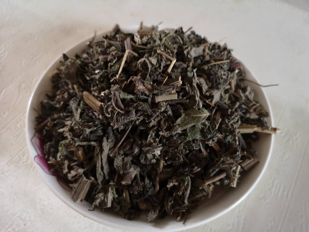 中药材豨莶草功效作用肥猪草肥猪菜粘苍子粘糊菜黄花仔粘不扎珠草