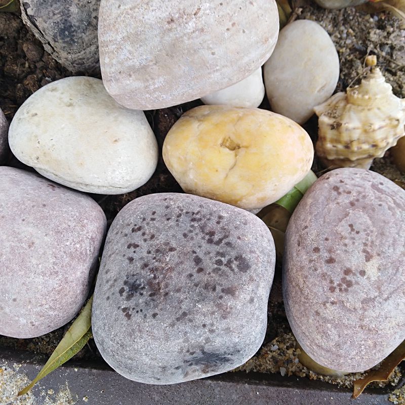 销大连天然鹅卵石58cm天然鹅卵石铺路景观用白色鹅卵石图片