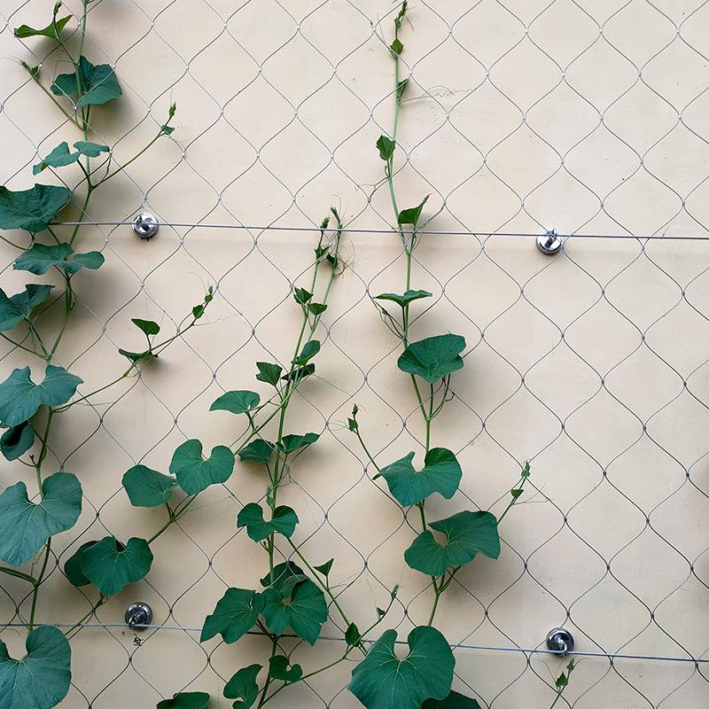 抗拉力大耐腐耐锈装饰聚隆钢丝阳台植物攀爬网可定制