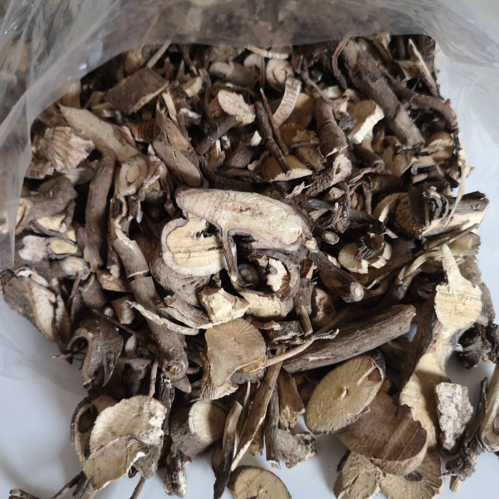 小罗伞价格野生小罗伞出售