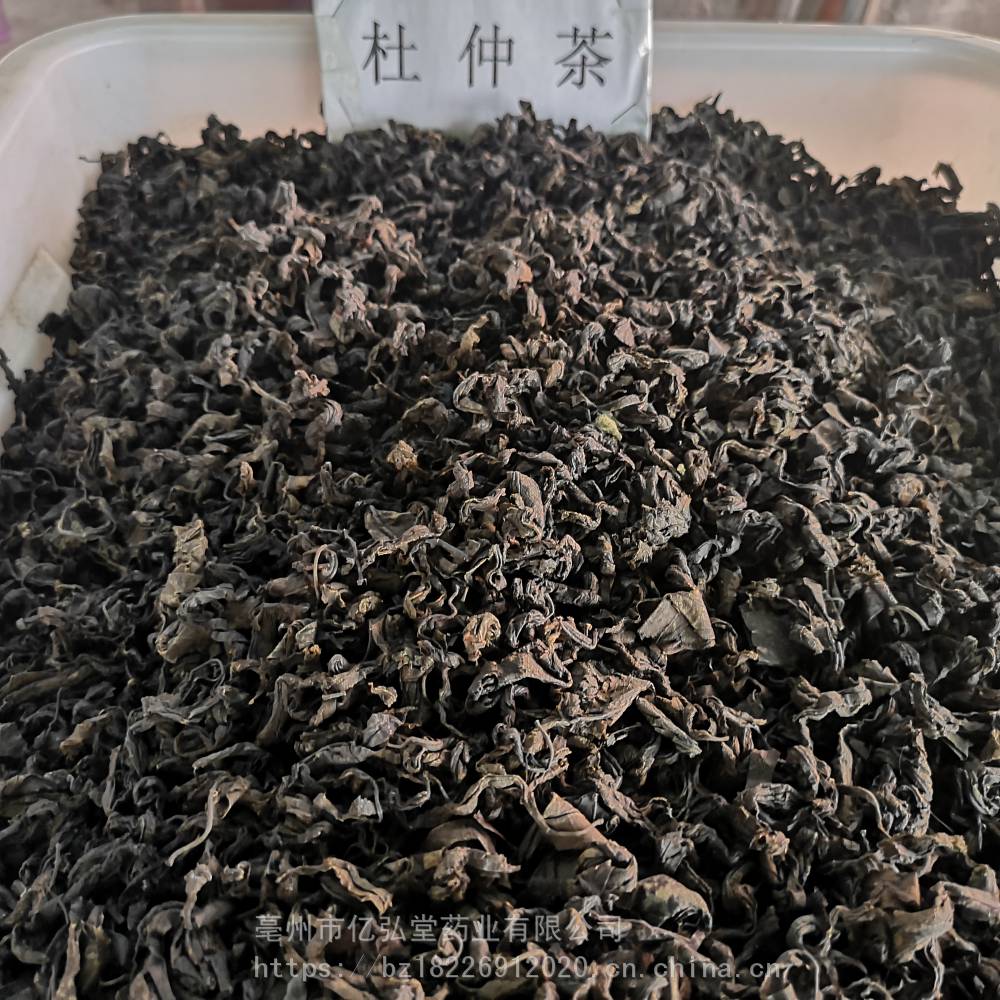 中藥杜仲茶的功效杜仲茶批發價格