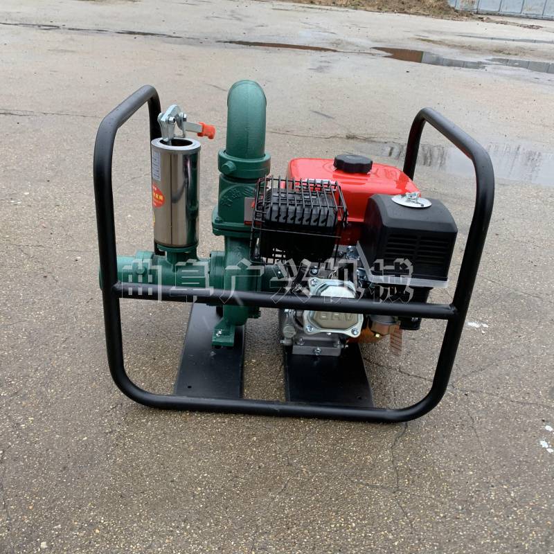 汽油抽水泵报价高扬程直流抽水泵抽水泵2寸水泵图片