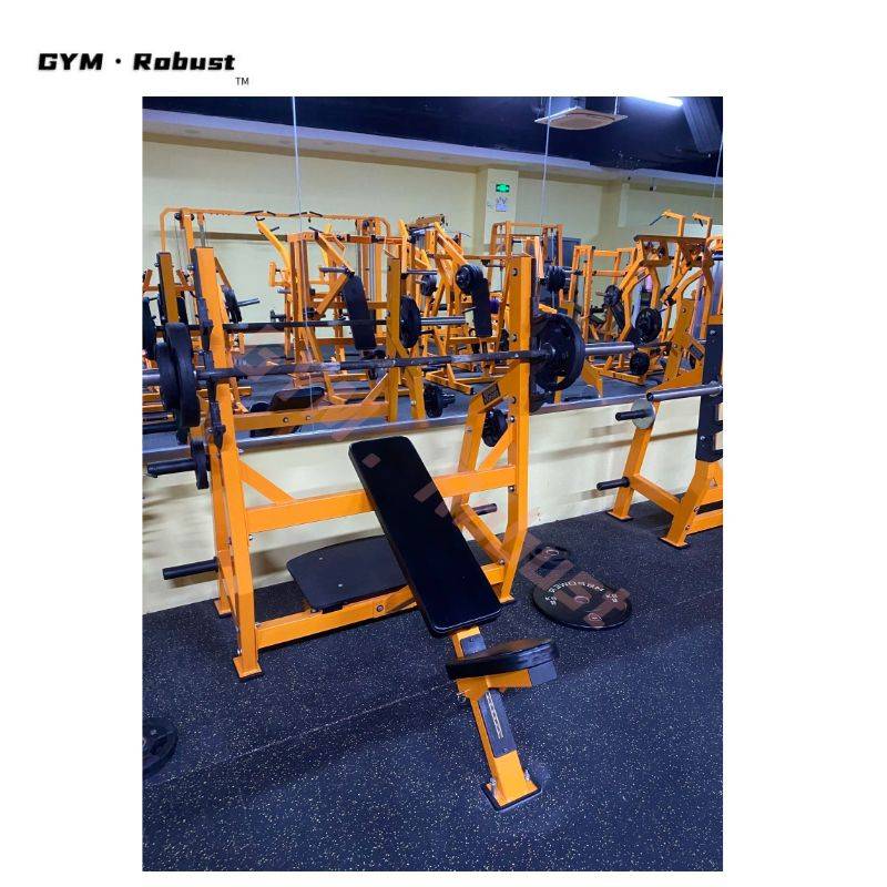 GYM·Robust出口健身器材 室内器械批发