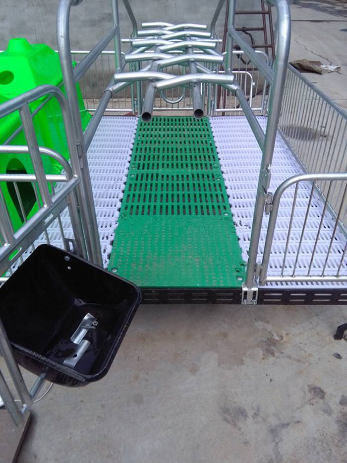 全复合母猪产床升级欧式产床养猪设备厂家猪场全套设备