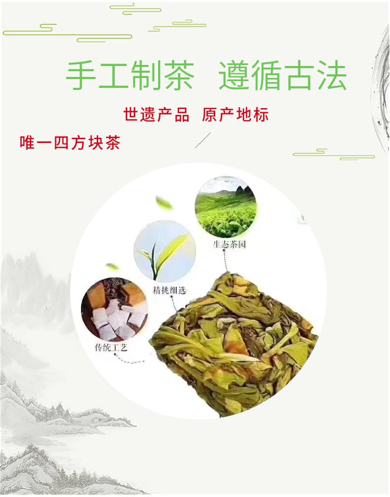 乌龙茶非遗技艺传承人纯手工制作漳平水仙茶饼