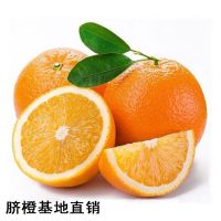 供应老家江西赣南脐橙批发 基地橙子批发 纽荷尔脐橙现储有30万斤A果