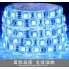 ledƴ/led/ledԵƴ/5050 60
