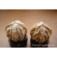 文玩核桃批发陕西野生灯笼；皮质好***质量