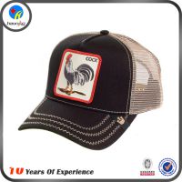 ӦHAIXINGרҵññ ʱñŮcap