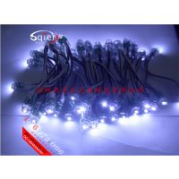 12MMˮ׹5VLED¶ƴ12巢Ƥִװɫơƹ©ƴ