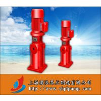 消防泵,DL立式管道多级消防泵,立式便拆式消防泵
