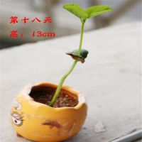 Ӧлز˴ӴӴӵļ۸ʴ