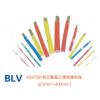ӦƷ о BLV 300о BLVװ һ