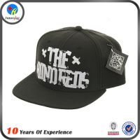 Ӧֱʱ***ƽñ ˰ñhiphopññ