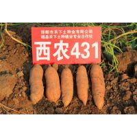 2015Ԥũ431Ѷ磬УĴ