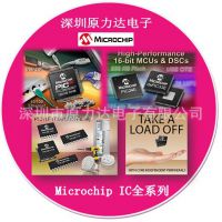 רעMicrochipϵԭװֻMCP6402T-H/MNY	MCP19119-E/MQ