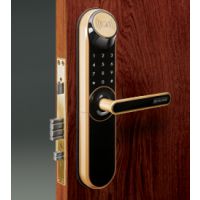 ***SCHLAGEܵ