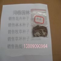 大量供应中药材种子 杜仲种子 杜仲小苗 播种方法 各类林木种子