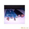 ӦRVVP3*0.75ƽ
