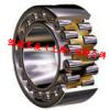 ӦԲNN3006CC0P5  nsk