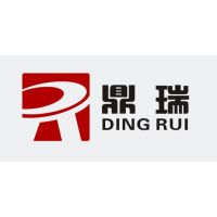 鼎瑞模塑科技有限公司